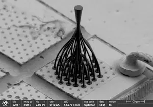Scanning electron micrograph (SEM) of 37 input MM-PL
