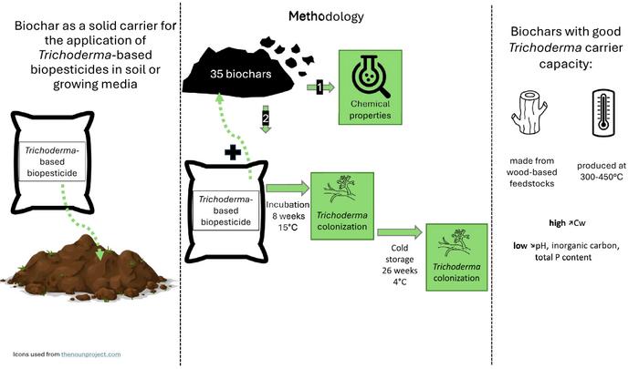 Wood-based biochars produced at low pyrolysis temperatures are good carriers for a Trichoderma-based biopesticide