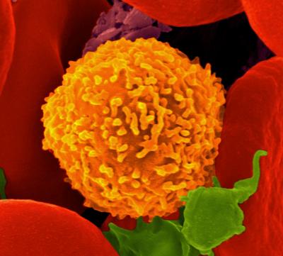 Pathogen Police