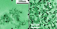 Nanoparticles of Magnetite