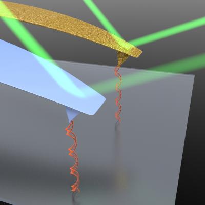Not-So-Precious: Stripping Gold From AFM Probes Allows Better Measurement of Picoscale Forces