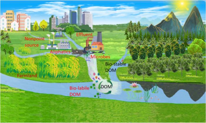 Urban and agricultural land use regulates the molecular composition and bio-lability of fluvial dissolved organic matter in human-impacted southeastern China