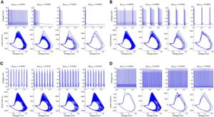 The effect of stimulation frequency on neuronal activity. As the frequency increases from 2 Hz (A) to 50 Hz (D), neuronal firing becomes increasingly regular and stable