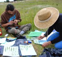 Leaf Samples