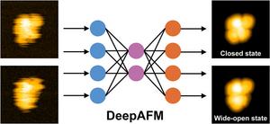 AI improves accuracy in tracking protein motion at the nanoscale