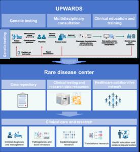 UPWARDS Project Research Framework