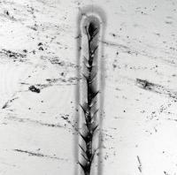 NIST Nanoscratch Test for Auto Body Coatings