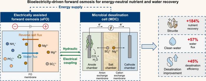 Bioelectricity-powered wastewater resource recovery.
