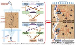 Biochar-regulated transport of weakly hydrophobic antibiotics between macropore and matrix domains in structured soil
