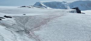 Young intrepid researcher uncovers hidden diversity in snow and glacier ecosystems across remote Antarctic island