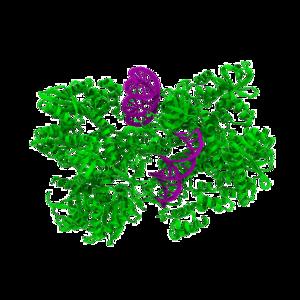 Integrase-RNA complex structure