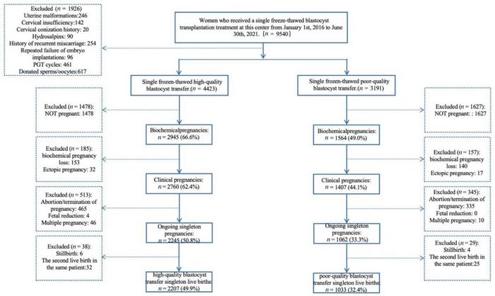 Flow diagram of study participants.