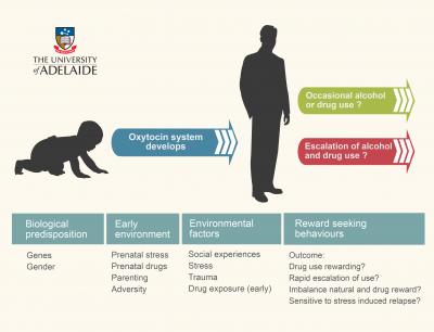 Oxytocin System and Addiction