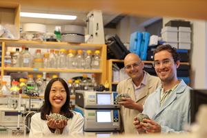 The Researchers