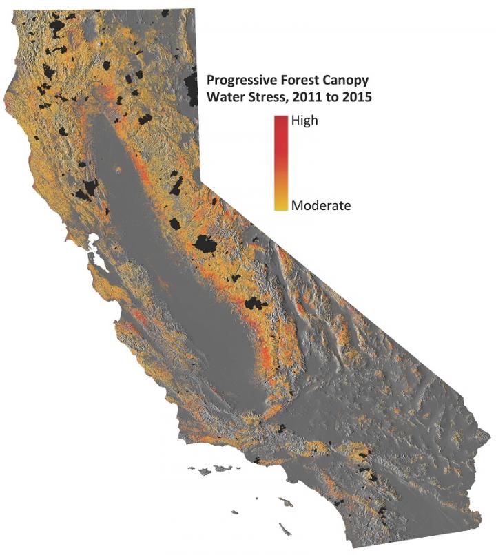 Water Stress