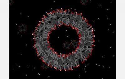 A New Way to Think About Earth's First Cells (2 of 3)