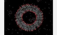 A New Way to Think About Earth's First Cells (2 of 3)