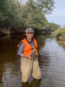 Wood Turtle Field Work