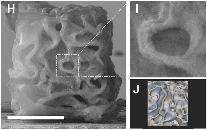 A Nickel Nano-Architecture