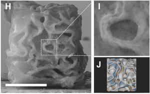 A Nickel Nano-Architecture