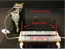 Experimental Setup of Liquid-Filled Surface