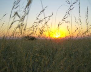 Namibia Sunset
