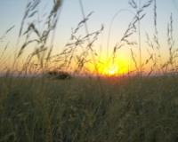 Namibia Sunset