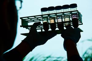 Exploring soil microbes for possible medicines