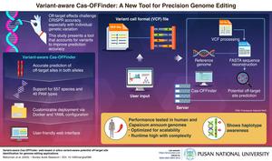 New Tool Enhances CRISPR Accuracy by Accounting for Genetic Variants