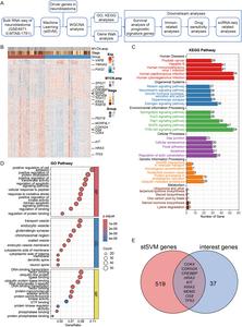 Prognostic biomarkers discovery pipeline via machine learning.
