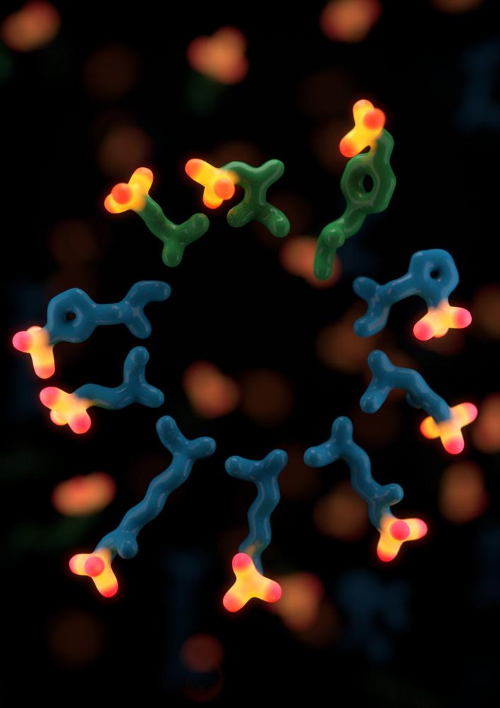 Human Protein Phosphorylation