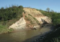 Prehistoric Nesting Site