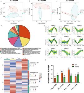 Figure 1. Metabolite profiles between the hypothalamus (HP) and pituitary gland (PG) of pigs exhibiting varying levels of aggression.