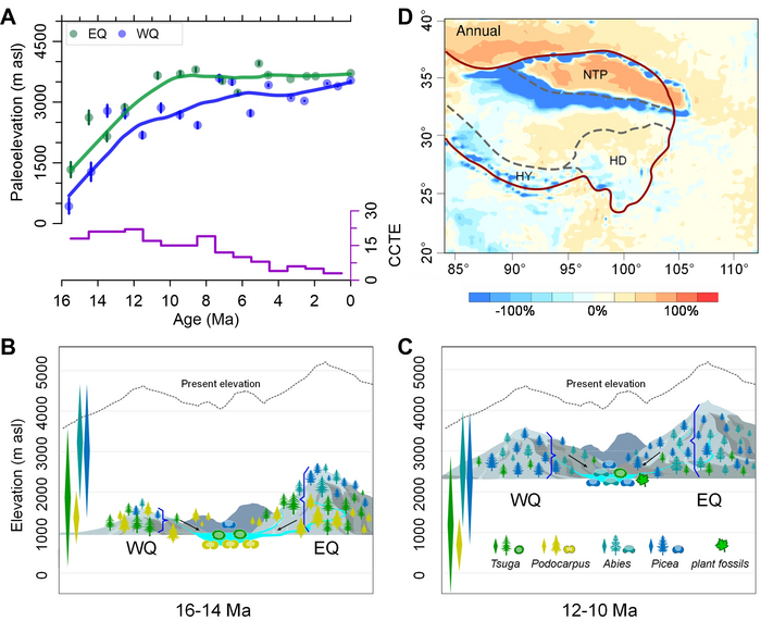 Northeastern Tibet Plateau uplift and impact on precipitation