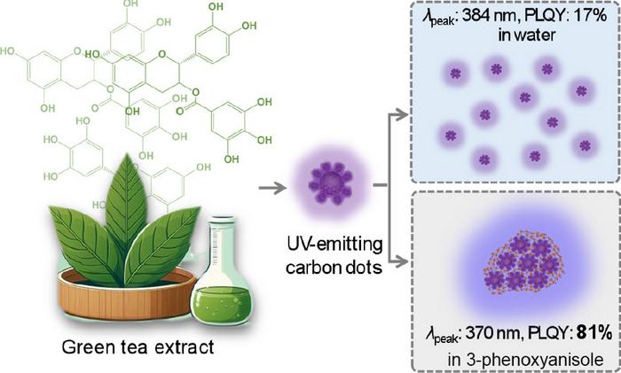 Efficient UV emission from carbon dots derived from a green-tea extract