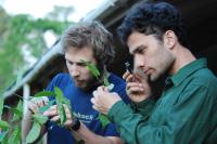 Robert Bagchi and Tom Swinfield, University of Oxford