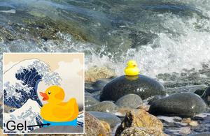 A rubber duck adhered to a seaside rock using the novel hydrogel