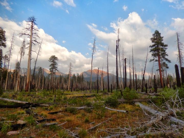 Yosemite's Illilouette Basin