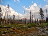 Yosemite's Illilouette Basin