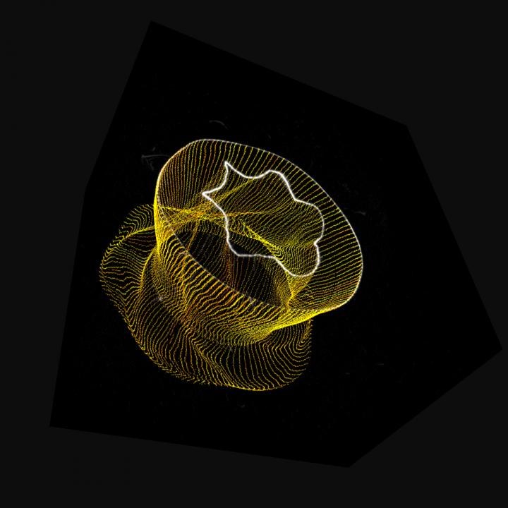 Helicity Simulation