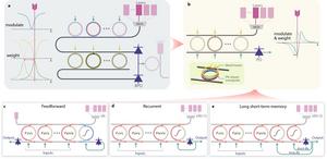 Figure | Working principle of the photonic neuron based on modulation-and-weighting MRR banks.