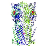 Nicotine Receptor
