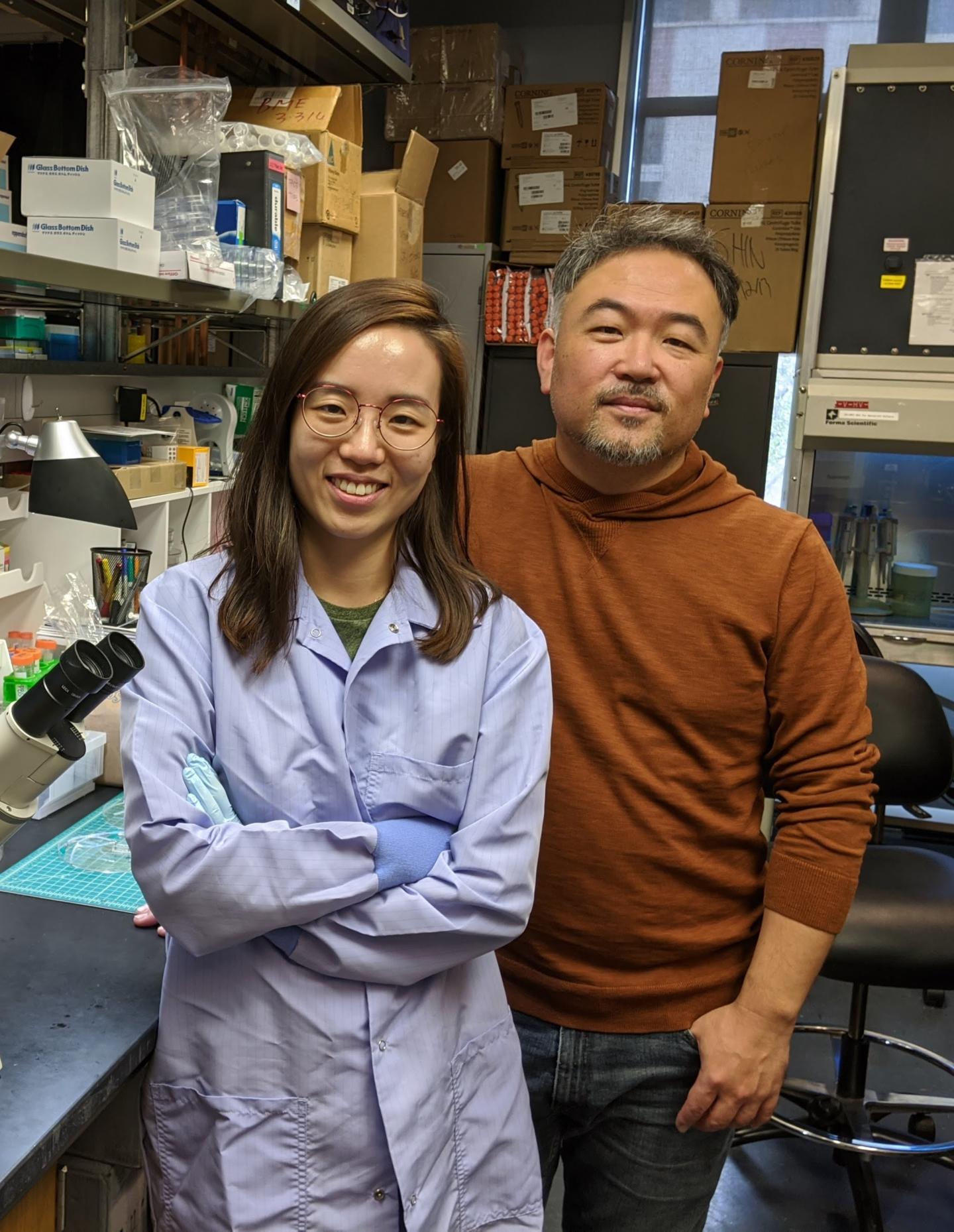 Organoid Researchers