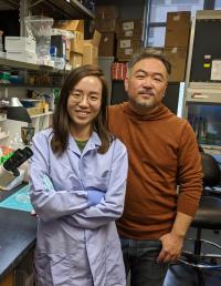 Organoid Researchers