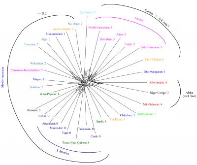 Network-Representation