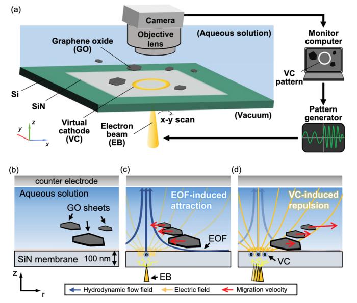 Overview of dynamic graphene oxide sorting