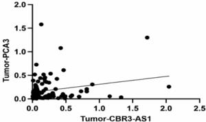 Evaluation of LncRNAs CBR3-AS1 and PCA3 expression in Gastric cancer and their correlation to clinicopathological variables