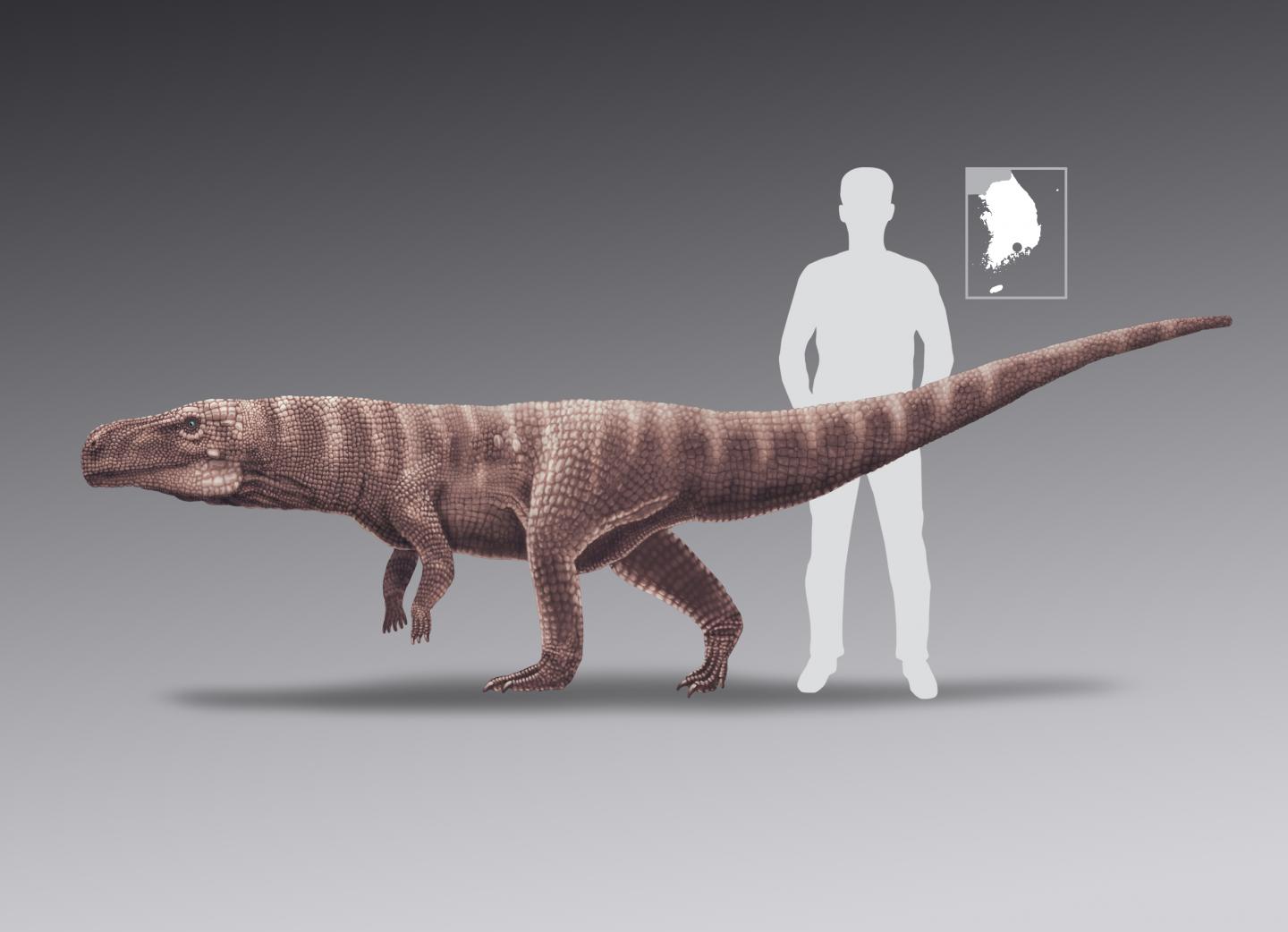 Scale