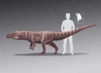 Scale