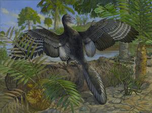 Reconstruction